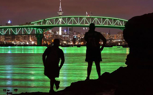 Auckland Harbour Bridge, New Zealand thumbnail image