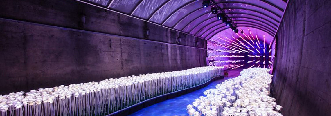 Suyanggae Light Tunnel, South Korea Banner