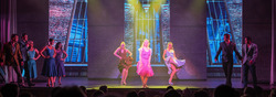 Golden Princess Cruise Ship, USA banner image thumbnail
