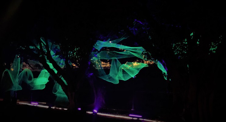 ‘WYSIATI’ Art Installation, India Banner
