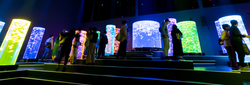 Art Aquarium (Lighting), Japan banner image thumbnail
