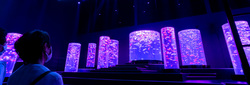 Art Aquarium (Audio), Japan banner image thumbnail