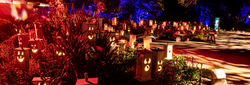 Descanso Gardens, Los Angeles banner image thumbnail