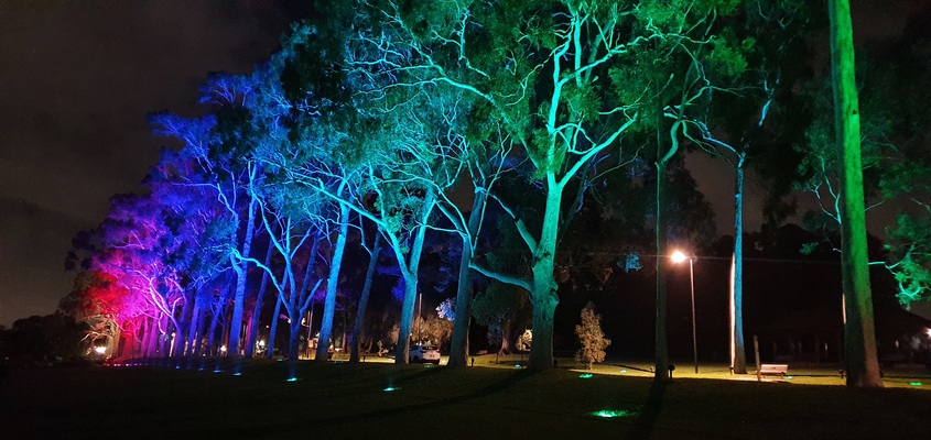 Kings Park, Australia Banner