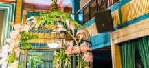 Bar Menaka, Phnom Penh banner image thumbnail