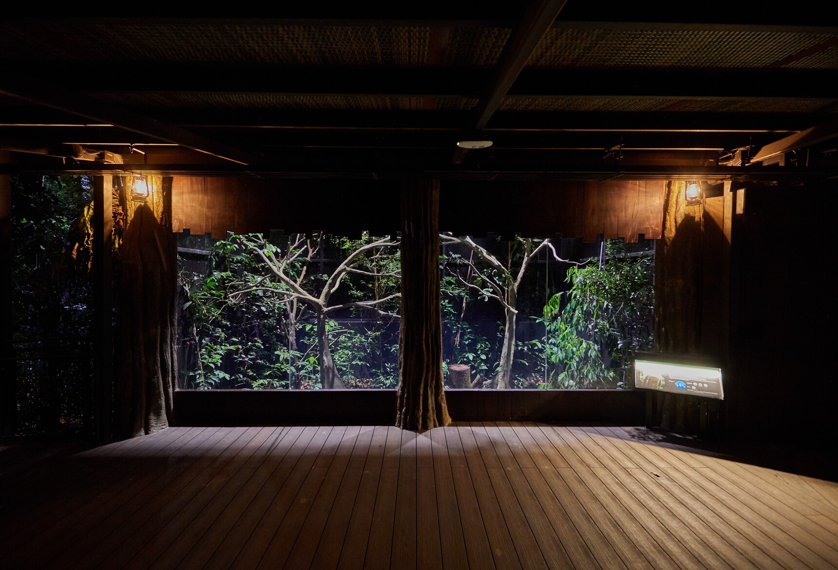 Mandai Wildlife Group’s Night Safari, Singapore medium image