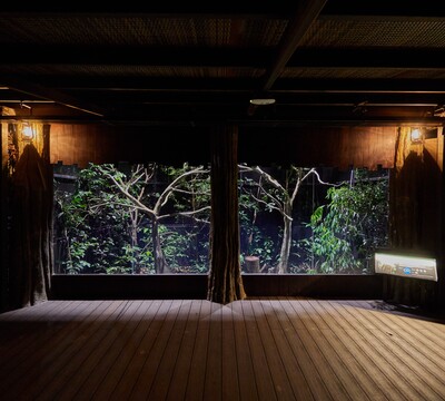 Mandai Wildlife Group’s Night Safari, Singapore banner image thumbnail