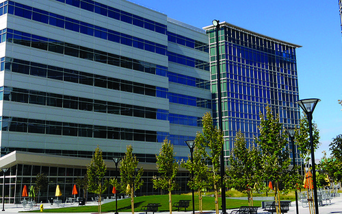 Juniper Network, California thumbnail image