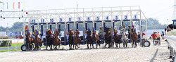 Dai Nam Race Course, Vietnam  banner image thumbnail