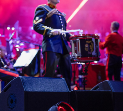 Royal Albert Hall, England detail image 3