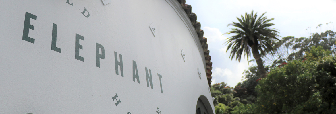 Auckland Zoo’s Old Elephant House Restaurant Delivers Exceptional Sound with HARMAN Professional Solutions 